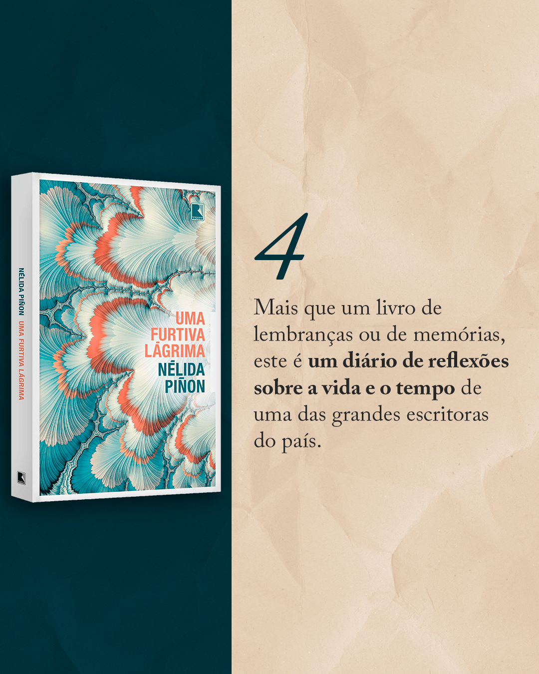 [Carrossel] 5 livros sobre autoficção 6