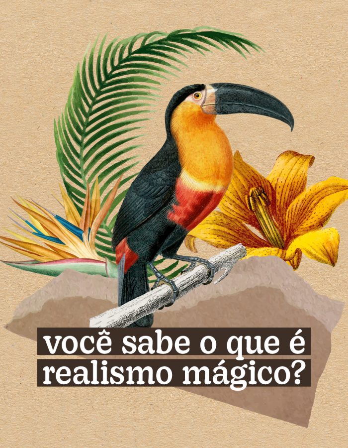 [Carrossel] Você sabe o que é realismo mágico 1